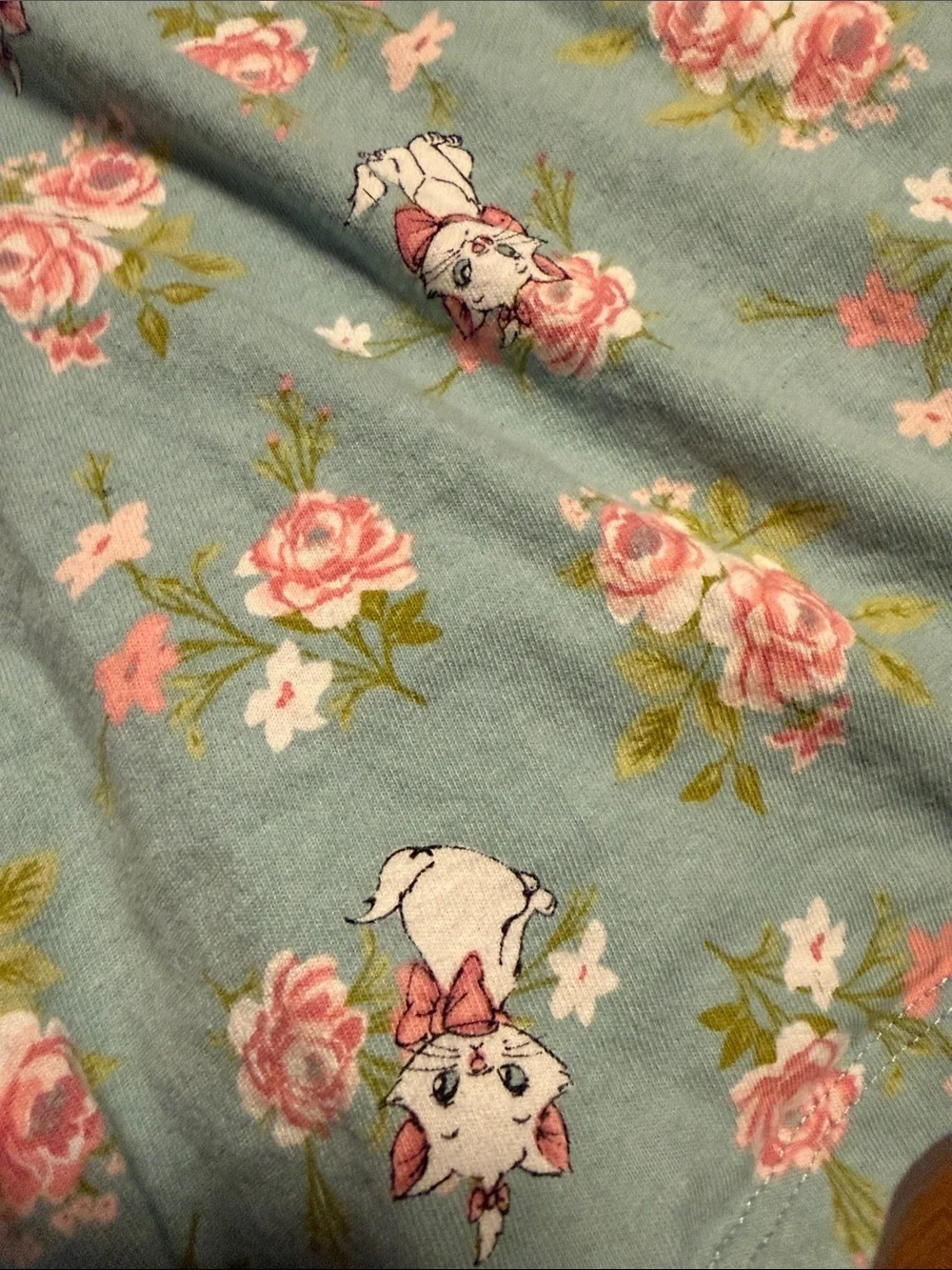 Disney Girls' Seafoam Green Floral Dress with Pink Roses and Marie Kitten